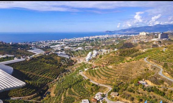 Alanya Kargıcak Satılık 805 M2 Arsa