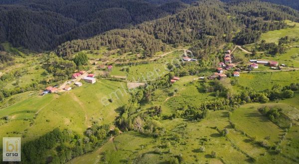 Kastamonu İhsangazi'de Yemyeşil İmarlı Köyiçi 529 M² Net İmarlı