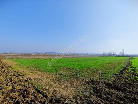 Balabancık'ta Top Sahası Gibi Dümdüz, Yolu Olan Yatırımlık Tarla