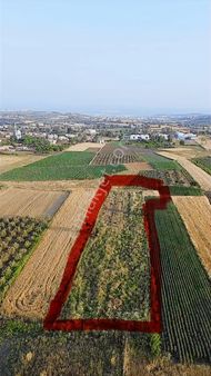 Bursa Mudanya Balabancık Bölgenin En Uygun M2 Fiyatı!!!