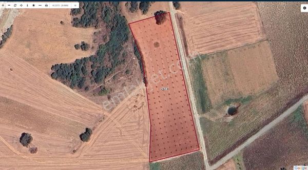 Akev'den Yenişehir Mahmudiye'de Yola 200 M Cepheli Ceviz Tarlası