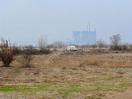 Coldwell Banker Safir'den Bulgurlu Da 1200 M2 Satılık Tarla