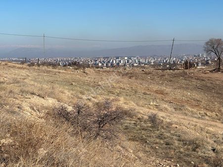 Coldwell Banker Safir'den Mullakasım Da 937 M2 Satılık Arsa