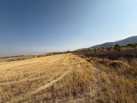 Coldwell Banker Safir'den Karapınar Da 21.019 M2 Satılık Tarla