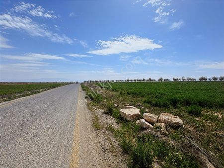 Coldwell Banker Safir'den Yazıhan Da Satılık Tarla