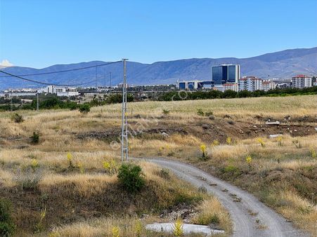 Coldwell Banker Safir'den Bulgurlu Da 9743 M² Satılık Bahçe