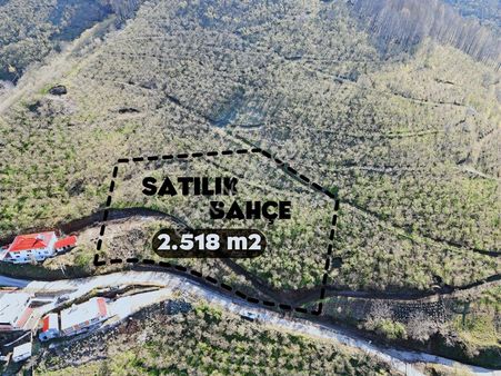 Aydın Emlak'tan Satılık Bahçe 2.518 M2 / M.yeniköy/akyazı