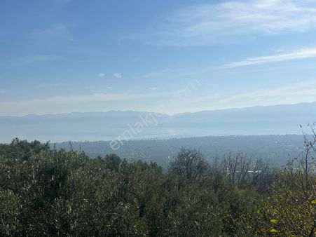 Orhangazi Yeniköy'de Satılık