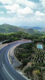 Zeytin Ve Narenciye Ağaçları İçinde; Yatırımlık 4 Dönüm Arazi