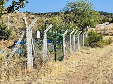 Nova Kahramankazan'dan Sancarda Tek Tapulu Yolu Olan Bağ