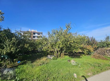 Altınova'da Gelişen Bölgede Satılık 4 Kat Konut İmarlı Arsa