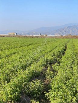 Otoban Kenarı Fırsat