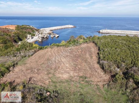 Bağırganlı'da Denize Sıfır Konumda 1483 M2 Eşsiz Manzaralı Tarla