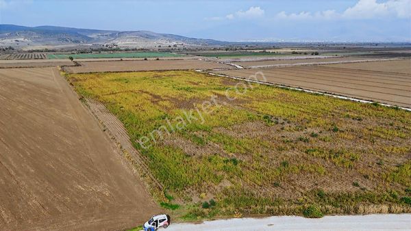 Menemen Musabey De Dönümü 425 Bin Tl Fırsat Arazi