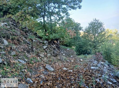 Locateden Kaplan Köyüne 1 Km Mesafede Anayola Sıfır Bahçe