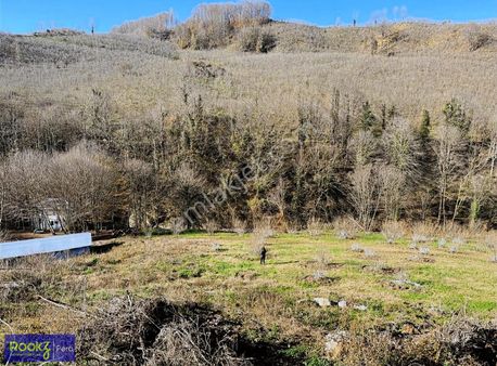 Karasu Paralı Mah. Dere Kenarında Emsalsiz Tarla Ve Fındıklık