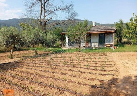 Yaraş Satılık Ev Ve Arazi