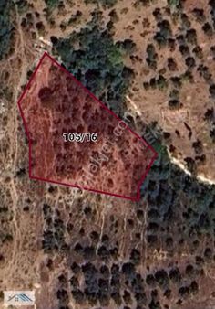 Orhangazi Çakırlı Satılık Tarla