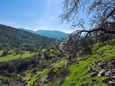 Burhaniye Bahadınlı 450 M2 Arsa İçinde Satılık Müstakil Köy Evi