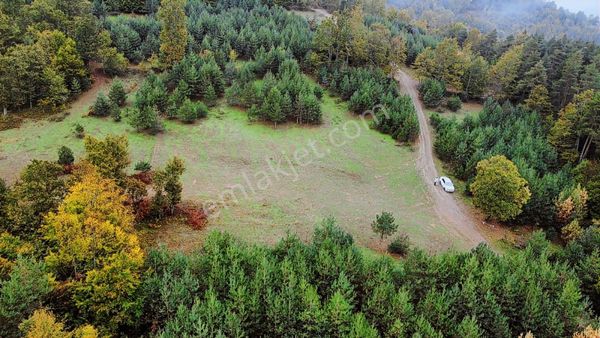 C21 Cius; İznik Elmalıda Bungalov İçin Uygun Satılık Tarla