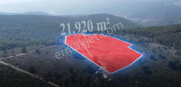 C21 Cius; Bursa/gemlik Haydariye Köyünde 21.920 M2 Satılık Tarla