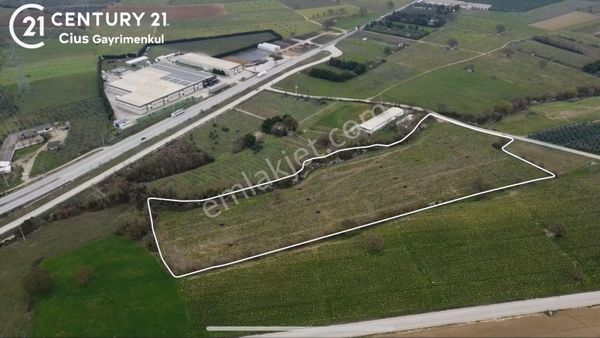 C21 Cius; Asfalt Yola 80 Metre Cepheli 30 Dönüm Dümdüz Tarla