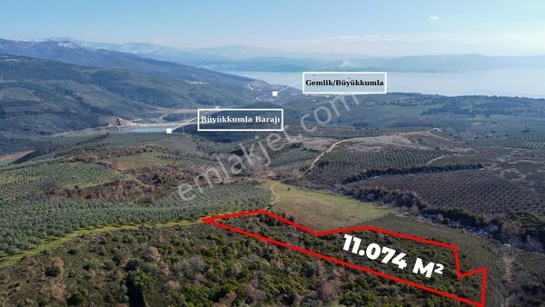 C21cius; Büyükkumla'da Yatırımlık 11,074 M2 Satılık Tarla