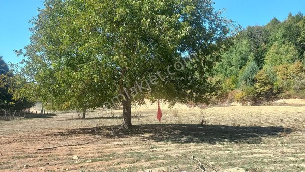 C21 Cius; İznik Kırıntı'da Doğa İle İç İçe İmarlı Tek Parça Arsa