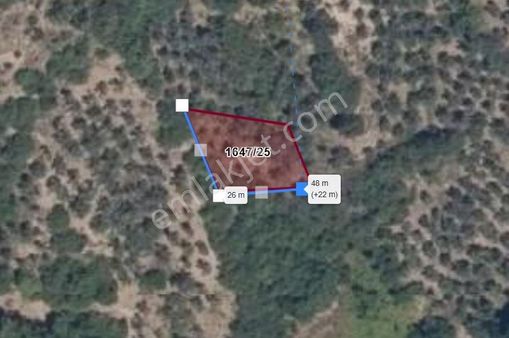 C21 Cius; Gemlik Muratoba'da 504 M2 Fırsat Zeytinlik