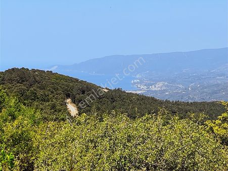 C21 Cius ; Küçük Kumla Mahallesinde 3616 M2 Satılık Tarla