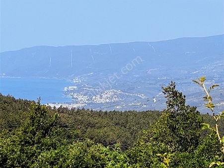 C21 Cius ; Küçük Kumla Mahallesinde 5002 M2 Satılık Tarla