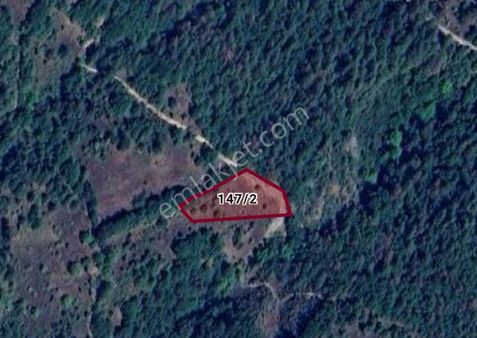 Cb Black'tan Orhaneli'de 2284 M2 Satılık Tarla