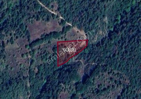 Cb Black'tan Orhaneli'de 3498 M2 Satılık Tarla