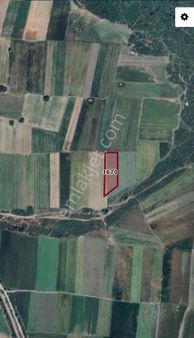 Cb Black'tan Satılık Tarla