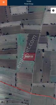 Cb Black'tan Kütahya'da Satılık Tarla