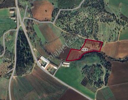 Cb Black'tan Karacabey Doğla'da 12.400 M2 Satılık Tarla