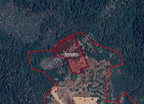 Cb Black'tan Büyükorhan Piribeyler'de 18.900 M2 Satılık Tarla