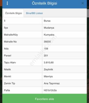 Cb Black'ten Kumyaka'da Deniz Manzaralı Yola Parsel Zeytinlik