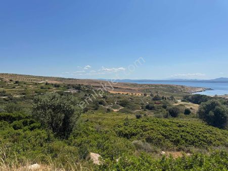 Cb Black'ten Bozcaada'da Deniz Manzaralı Villa İmarlı Arsa