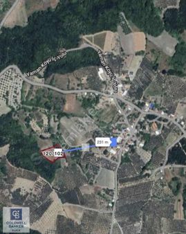 Cb Black'tan Mudanya Yaman Köyde Fırsat Tarla