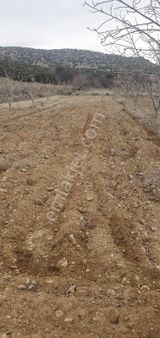 Millioğlu İnşaat'tan Burdur İlyas Köyünde Satılık Tarla