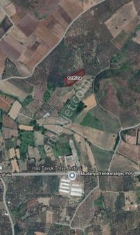 Cb Black'tan Mudanya Halilbey'de Yatırımlık Fırsat Tarla