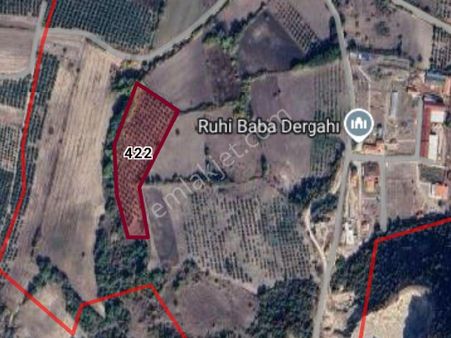 Cb Black'tan Mustafakemalpaşa Üçbeyli'de Satılık Tarla