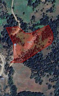 Cb Black'ten Doğancı Satılık Manzaralı 9342m2 Arazi