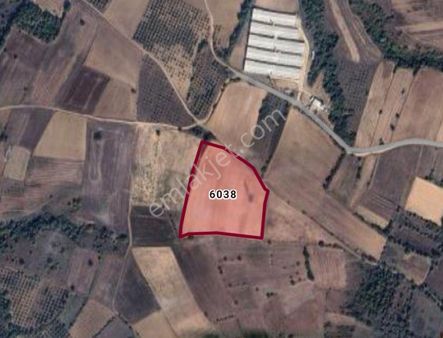 Cb Black'tan Karacabey Harmanlı'da 18.250 M2 Satılık Tarla