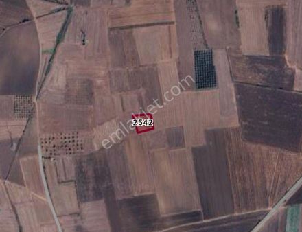 Cb Black'tan Karacabey Harmanlı'da 1700 M2 Satılık Tarla