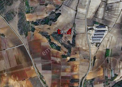 Cb Black'ten Karacabey Cambaz Satılık 4 Dönüm Tarla