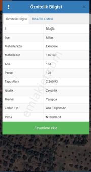 Muğla Milas Ekindere'de Satılık Zeytinlik Tarla