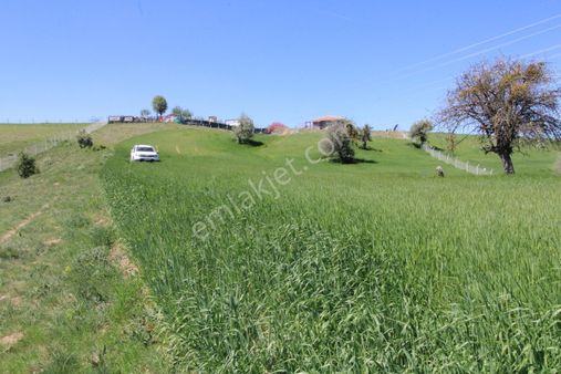 Han'dan İmara 500 Metre Mesafede Telli Yola Cephe 5628 M2 Tarla