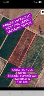 Gödenede 7382 Metre Kare Müstakil Tapulu Tarla